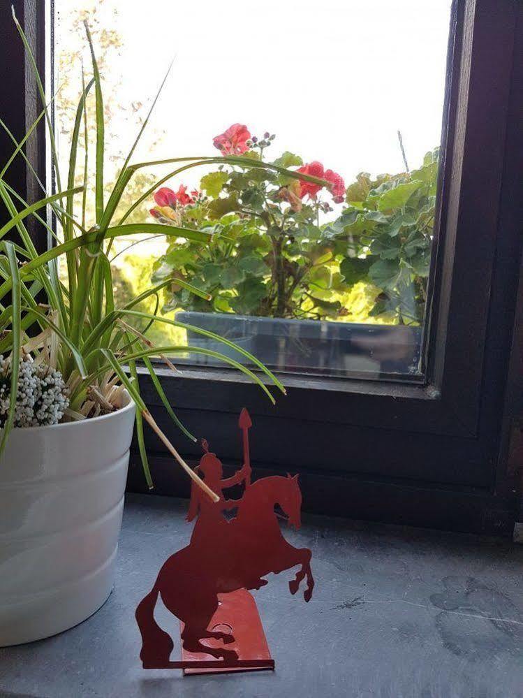 Bed and Breakfast Au Petit Dragon à Mons Extérieur photo